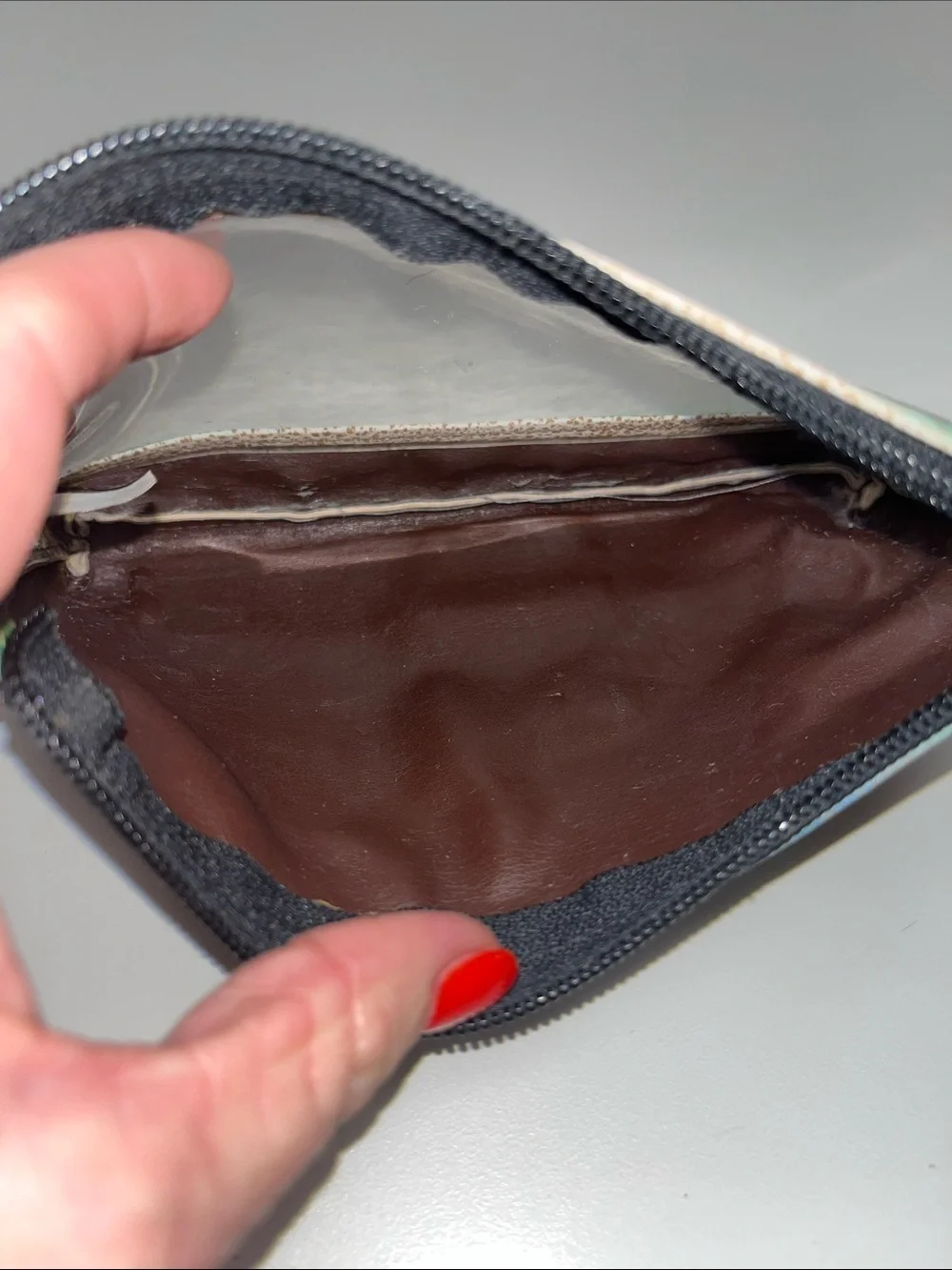 Anuschka Butterfly Print Onesided Clear Pouch